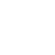 QO Race