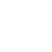 Mavic